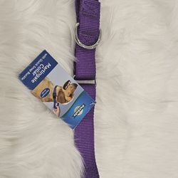 PetSafe Martingale Collar with Quick Snap Buckle, M