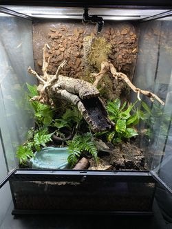 Custom Exo Terra Terrarium