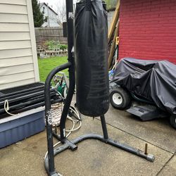 Everlast Great Punching Bag 