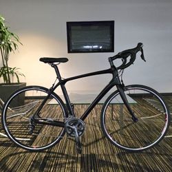 17.8 lb. All-Carbon Trek Domane SLR 6 Racing Bike 