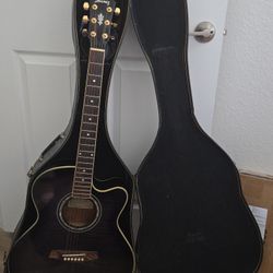 Ibanez Acoustic Electric Guitar