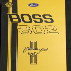 Ford Mustang Boss 302 Die cast car