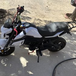 Honda Grom Clone