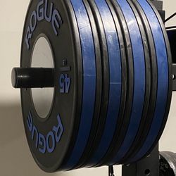 Rogue 45 Lb Training Bumper Plates