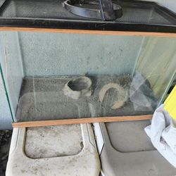 20 Galllon Reptile Tank With Screen Top Repaired Crack