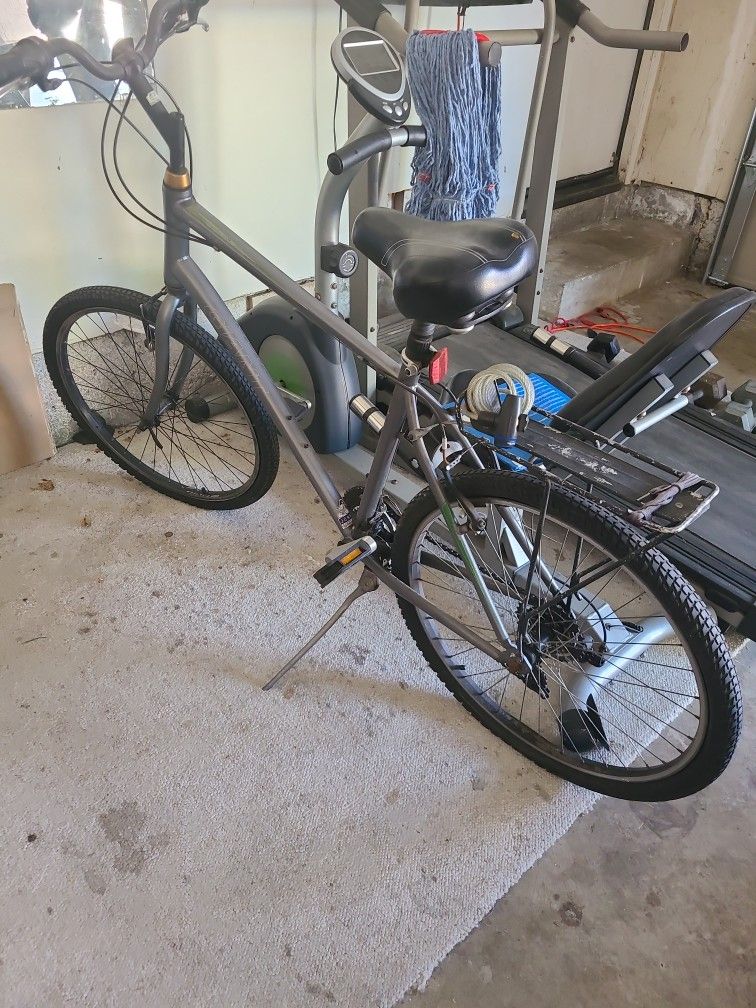 Giant Bike