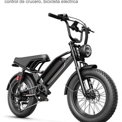 E Bike