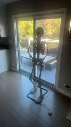 Skeleton Plug In -New !!!!!