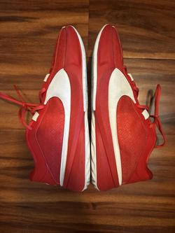 Giannis Nike shoes