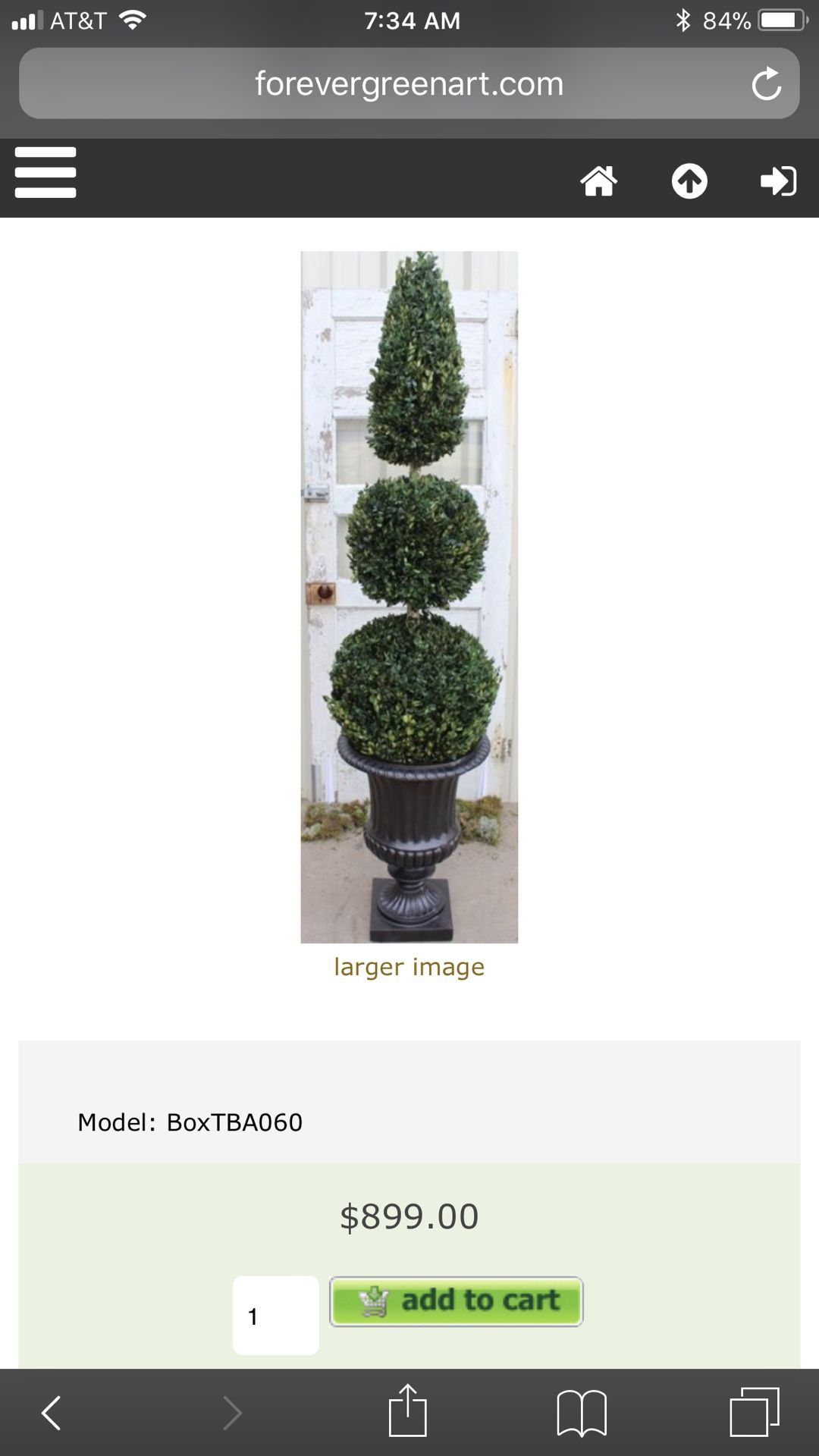 Forever Green preserved topiary