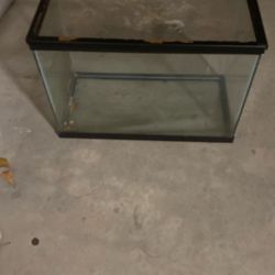 Fish Tank