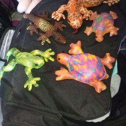 Vintage Rainforest Turtles & Gecko's 