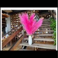 Tall Pampas’s Grass Decor 