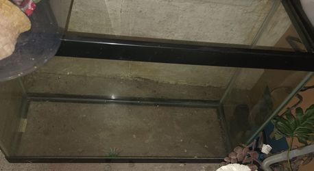 20 Gallon High