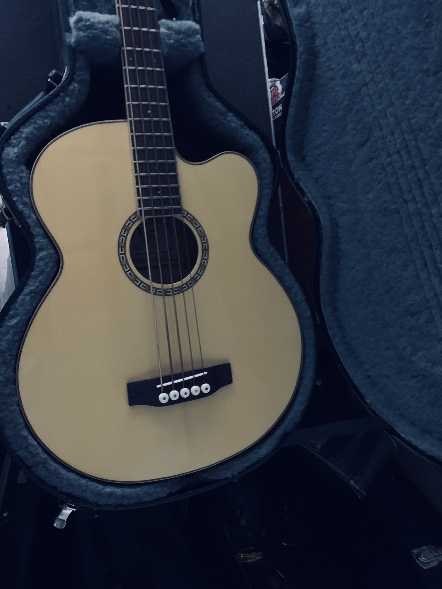 GUITAR ACOUSTIC 5 String Bass  Michael Kelly With Michael Kelly Hard-case