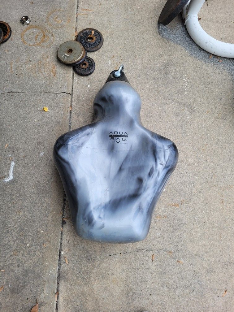 Aqua Trainer BRUISER Punching Bag