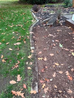 Free - Variety of Landscaping Rocks