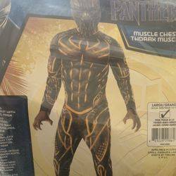 Black Panther Boys Costume