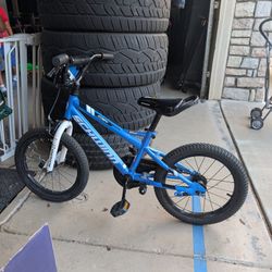 Schwinn 15”