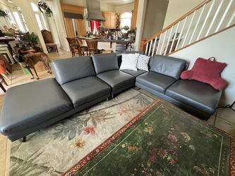 Large Sectional Couch