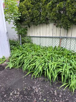 Free fence, free sign, and free sign post