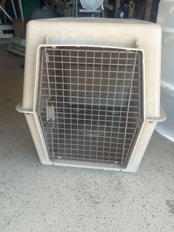 Dog Cage