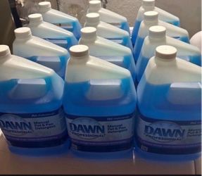 Dawn dish detergent/soap
