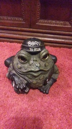 A bullfrog 8 in by 7 in