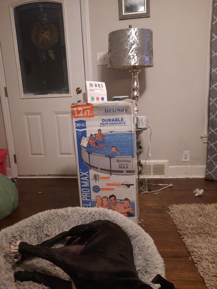 Pool With Free Lights $250