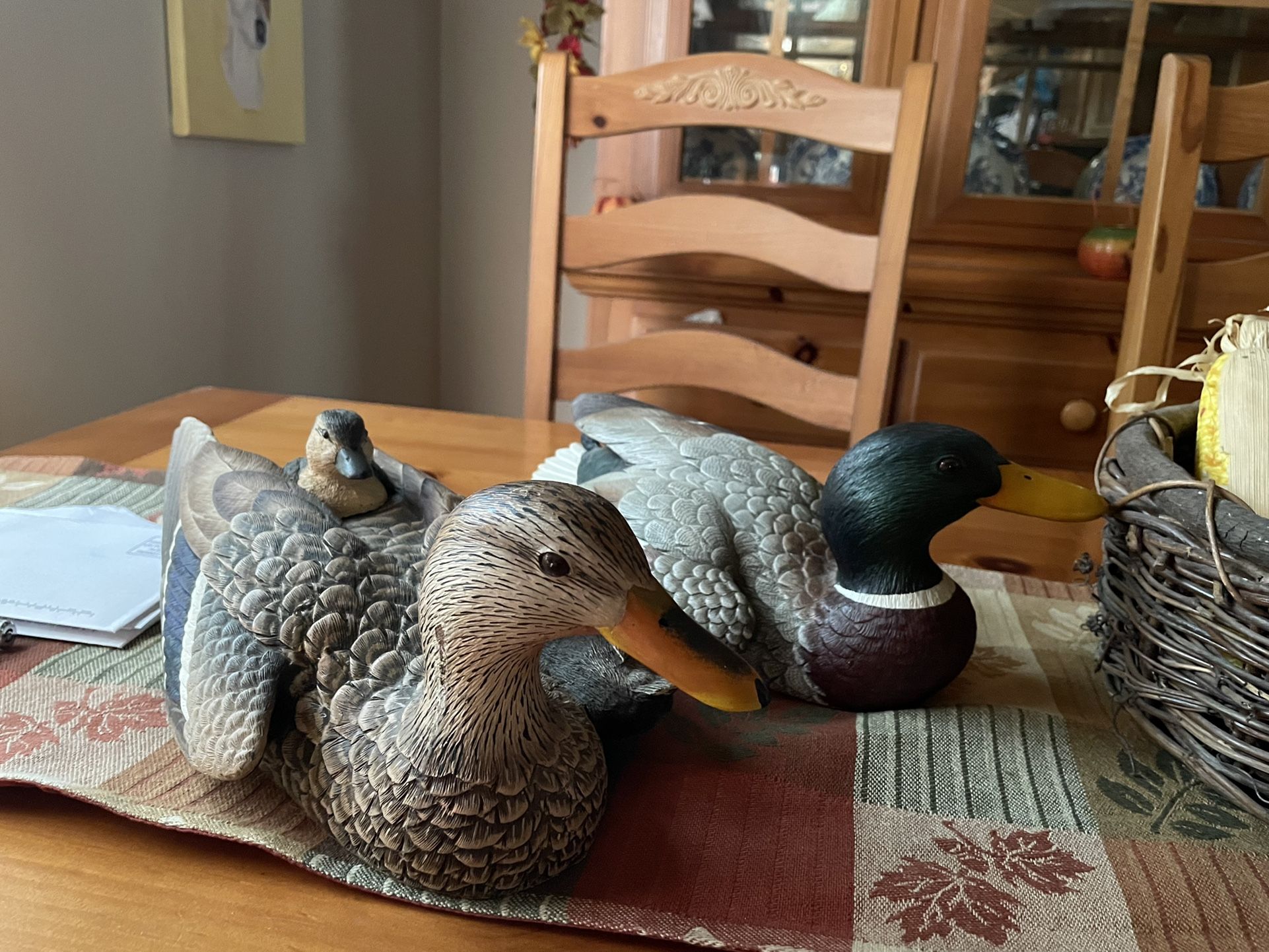 Decoy Ducks