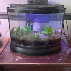 Fish Tank With Filter And Light
