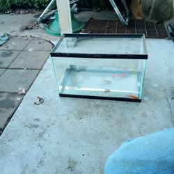 10gall Fish Tank