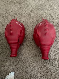 Arkansas Razorback Hogs hat