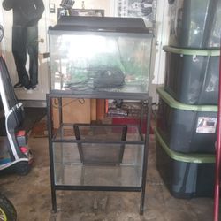 2 10 Gallon Fish Tanks 1 With Filter Other With Lid 