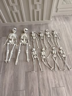 Family Of 10 Halloween Skeletons