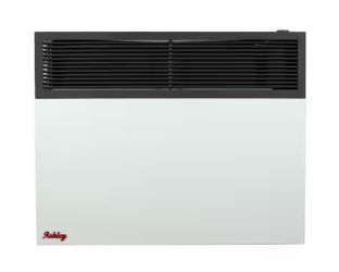 ✨ Ashley Hearth Products Ashley Direct Vent Wall Heater Dual Fuel 25K BTU !! SAVE $450 !!