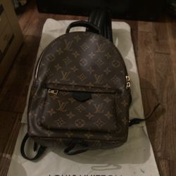 Louis Vuitton Palm Springs Monogram Backpack
