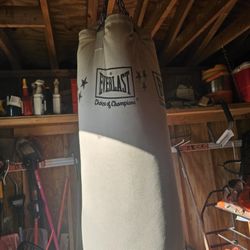 🥊 Everlast Heavy Punching Bag – Excellent Condition – $120 OBO