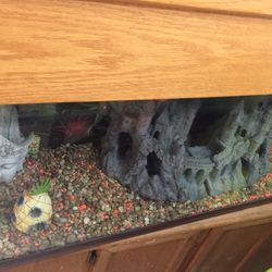 50 GALLON FISH TANK WOODEN TOP & STAND $150