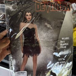 Women’s Halloween Costume Black Dress 