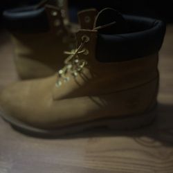 Timberlands 6 Inch Boot