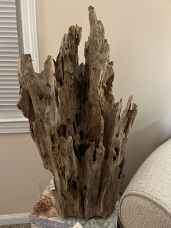 Driftwood Light