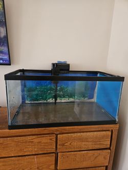 Fish tank