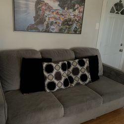 Couch/ Sofa 