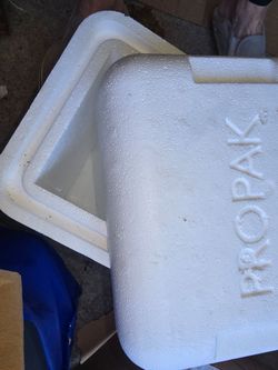 Small strofoam cooler and 6 refreeze ice packs a plus insulated foam padding