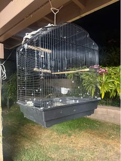 Bird Cage