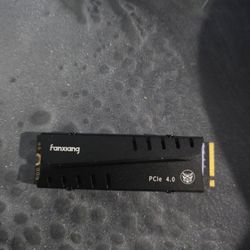 Fanxiang 4tb SSD