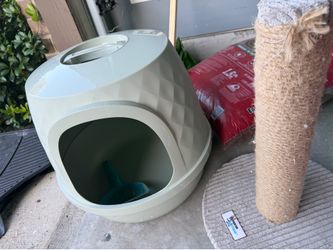 Kat litter and toy