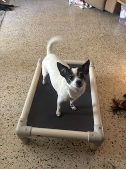 Kuranda Dog Bed Small