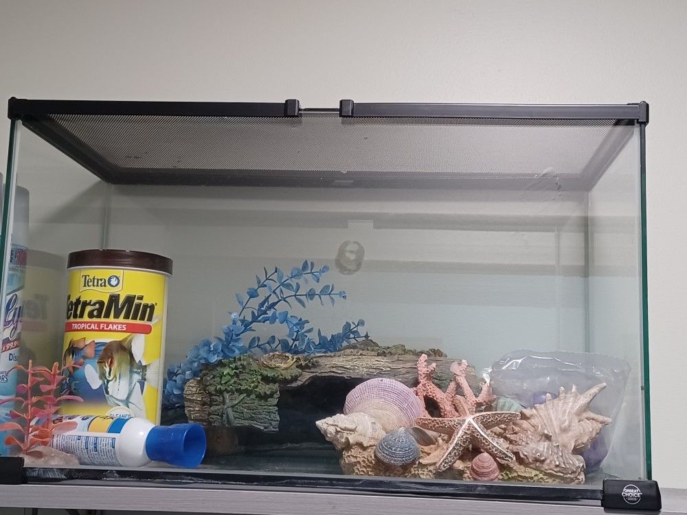 Glass Aquarium